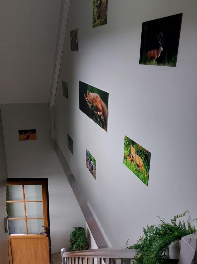 Apartamento O Baguenaudes Jalhay Exterior foto